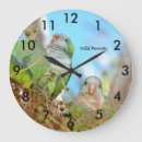Recherche de parrots horloges Perruches