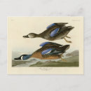 Recherche de découverte cartes postales Couleur