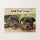 Recherche de chien de rottweiler puzzles Amoureux des chiens