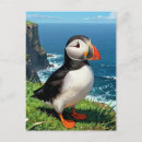 Recherche de macareux cartes postales Océan