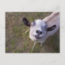 Recherche de nigerian cartes postales Ferme