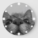 Recherche de visage noir blanc chat cartes postales Animal