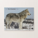 Recherche de loups puzzles Animaux