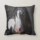 Recherche de portrait de cheval Couleur