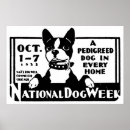 Recherche de canines posters Vétérinaire