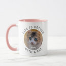 Recherche de propriétaire de chat tasses Animal de compagnie