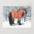 Recherche de kat cartes postales Animaux
