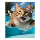 Recherche de natation posters Eau