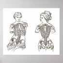 Recherche de bustier posters Corset