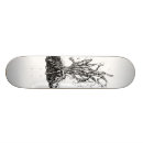 Recherche de zen skateboards Nature