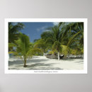 Recherche de tropiques art Arbre