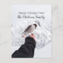 Recherche de oiseaux dans la neige vœux cartes Photographie