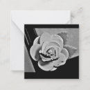 Recherche de de jardin correspondances cartes Blanc