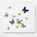 Recherche de papillon blanc tapis souris Animaux