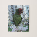 Recherche de perroquets sauvages puzzles Pour tous