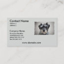 Recherche de miniature cartes visite Animaux familiers