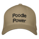 Recherche de caniche casquettes Chiot