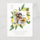 Recherche de citrons cartes postales Botanique