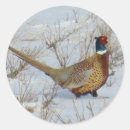 Recherche de chasse à oiseau autocollants Toute personne