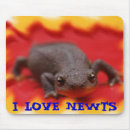 Recherche de salamandre tapis souris Animaux
