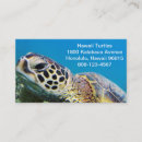 Recherche de tortue verte cartes visite Tortues