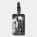 Recherche de portrait de cheval accessoires Chevaux
