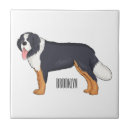 Recherche de montagne carreaux Chien de montagne bernois