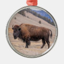 Recherche de bison ornements Buffle