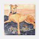 Recherche de whippets magnets Animal