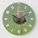 Recherche de orteils horloges Toute personne