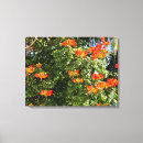 Recherche de toile orange de fleur Toute personne