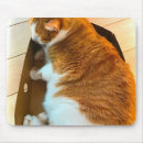 Recherche de chat orange et blanc tapis souris Amoureux des chats