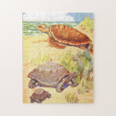 Recherche de tortues puzzles Plage