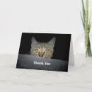 Recherche de pékin vœux cartes Mignon