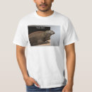 Recherche de dragones tshirts Animaux
