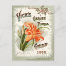 Recherche de paquet de cartes postales Floral