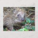 Recherche de danke cartes postales Pour tous