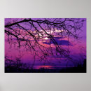Recherche de arbre de coucher du soleil posters Paysage