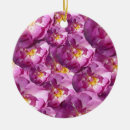 Recherche de rose ornements Décoration