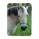 Recherche de horse magnets Amoureux des animaux