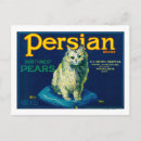 Recherche de taux cartes postales Lanterne