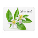 Recherche de arbre fleurissant magnets Fleurir