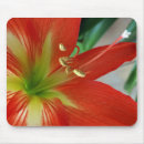 Recherche de macro tapis souris Blanc