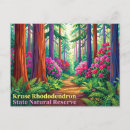 Recherche de rhododendron cartes postales Forêt