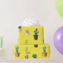 Recherche de succulents papier cadeau Plante domestique