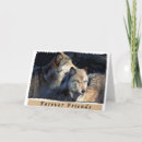 Recherche de amour loup cartes postales Sauvage