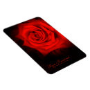 Recherche de rosa magnete Fleur