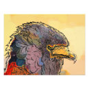 Recherche de rapaces posters Faucon