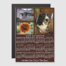 Recherche de bois magnets Toute personne