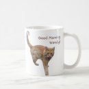 Recherche de housecat Mignon
